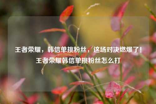 王者荣耀，韩信单挑粉丝，这场对决燃爆了！王者荣耀韩信单挑粉丝怎么打