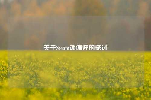关于Steam锁偏好的探讨