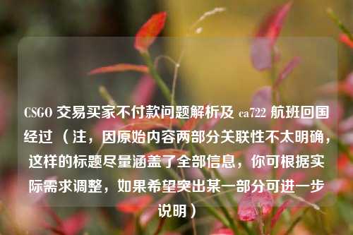 CSGO 交易买家不付款问题解析及 ca722 航班回国经过 （注，因原始内容两部分关联性不太明确，这样的标题尽量涵盖了全部信息，你可根据实际需求调整，如果希望突出某一部分可进一步说明）