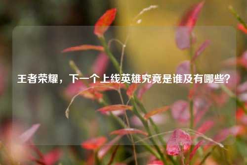 王者荣耀，下一个上线英雄究竟是谁及有哪些？