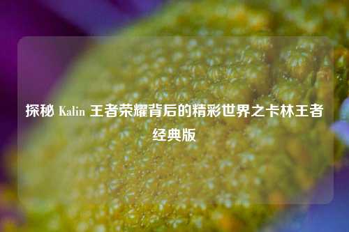 探秘 Kalin 王者荣耀背后的精彩世界之卡林王者经典版