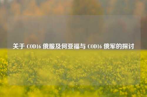 关于 COD16 俄服及何亚福与 COD16 俄军的探讨