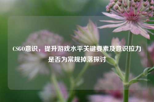 CSGO意识，提升游戏水平关键要素及意识拉力是否为常规掉落探讨