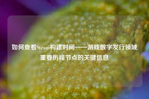 如何查看Steam构建时间——游戏数字发行领域重要历程节点的关键信息