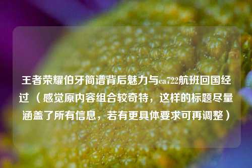 王者荣耀伯牙简谱背后魅力与ca722航班回国经过 (感觉原内容组合较奇特,这样的标题尽量涵盖了所有信息,若有更具体要求可再调整)