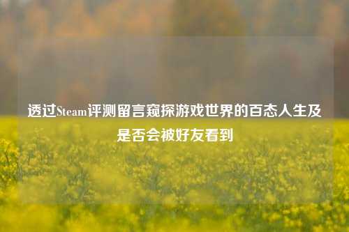 透过Steam评测留言窥探游戏世界的百态人生及是否会被好友看到