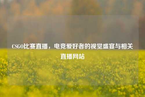 CSGO比赛直播，电竞爱好者的视觉盛宴与相关直播网站