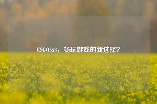 CSGO553，畅玩游戏的新选择？