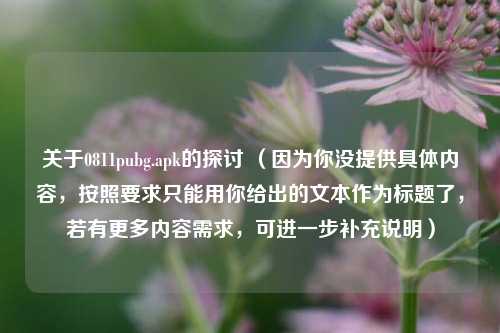 关于0811pubg.apk的探讨 （因为你没提供具体内容，按照要求只能用你给出的文本作为标题了，若有更多内容需求，可进一步补充说明）