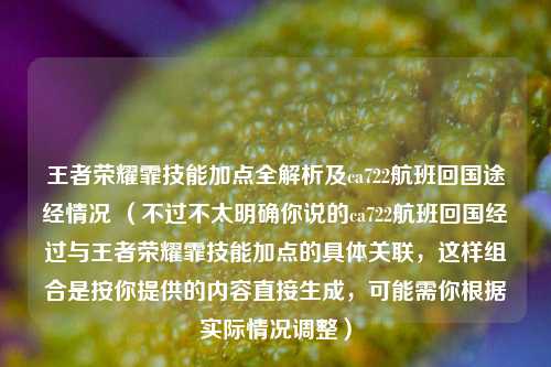 王者荣耀霏技能加点全解析及ca722航班回国途经情况 (不过不太明确你说的ca722航班回国经过与王者荣耀霏技能加点的具体关联,这样组合是按你提供的内容直接生成,可能需你根据实际情况调整)