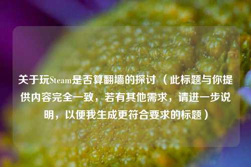 关于玩Steam是否算翻墙的探讨 （此标题与你提供内容完全一致，若有其他需求，请进一步说明，以便我生成更符合要求的标题）