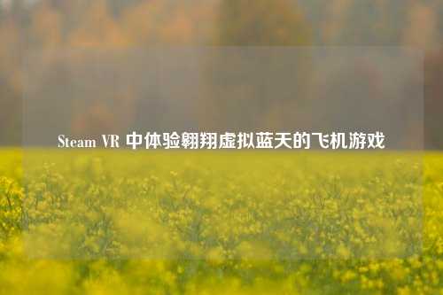 Steam VR 中体验翱翔虚拟蓝天的飞机游戏