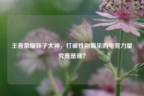 王者荣耀妹子大神,打破性别偏见的电竞力量究竟是谁?