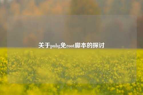 关于pubg免root脚本的探讨