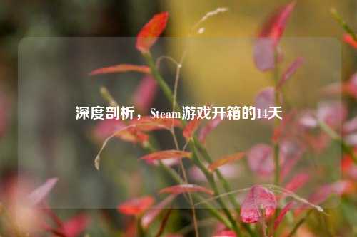 深度剖析，Steam游戏开箱的14天