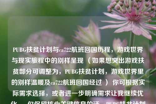 PUBG扶贫计划与ca722航班回国历程,游戏世界与现实旅程中的别样呈现 (如果想突出游戏扶贫部分可调整为,PUBG扶贫计划,游戏世界里的别样温暖及ca722航班回国经过 ) 你可根据实际需求选择,或者进一步明确需求让我继续优化 。 仅保留核心关键信息的话,PUBG扶贫计划与ca722航班回国