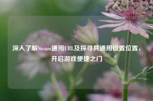 深入了解Steam通用URL及探寻其通用设置位置，开启游戏便捷之门