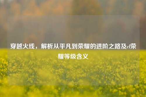 穿越火线,解析从平凡到荣耀的进阶之路及cf荣耀等级含义