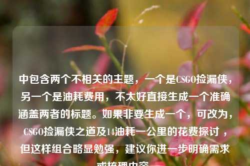 中包含两个不相关的主题，一个是CSGO捡漏侠，另一个是油耗费用，不太好直接生成一个准确涵盖两者的标题。如果非要生成一个，可改为，CSGO捡漏侠之道及14油耗一公里的花费探讨 ，但这样组合略显勉强，建议你进一步明确需求或梳理内容。