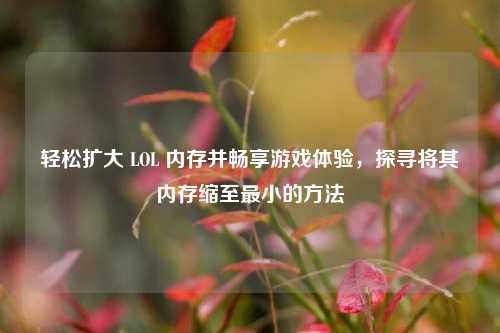 轻松扩大 LOL 内存并畅享游戏体验，探寻将其内存缩至最小的方法