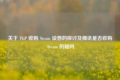 关于 TGP 收购 Steam 设想的探讨及腾讯是否收购 Steam 的疑问