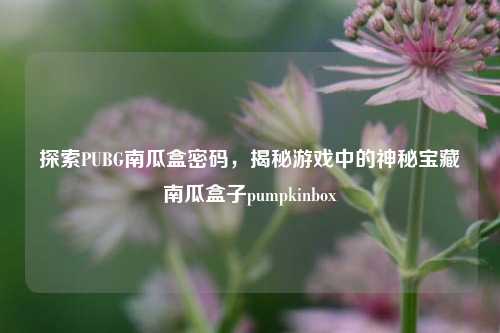探索PUBG南瓜盒密码,揭秘游戏中的神秘宝藏南瓜盒子pumpkinbox