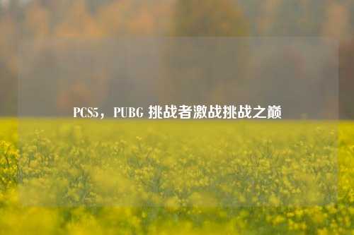 PCS5，PUBG 挑战者激战挑战之巅