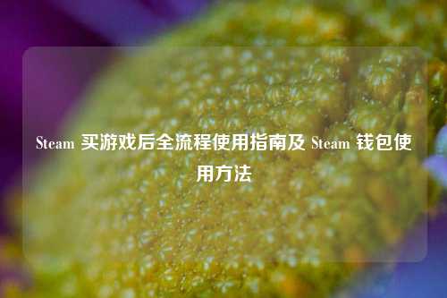Steam 买游戏后全流程使用指南及 Steam 钱包使用方法