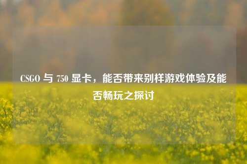 CSGO 与 750 显卡，能否带来别样游戏体验及能否畅玩之探讨