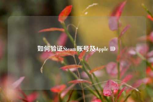 如何验证Steam账号及Apple ID