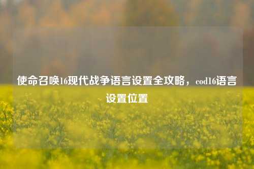 使命召唤16现代战争语言设置全攻略，cod16语言设置位置