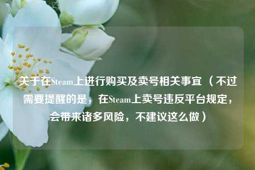 关于在Steam上进行购买及卖号相关事宜 （不过需要提醒的是，在Steam上卖号违反平台规定，会带来诸多风险，不建议这么做）