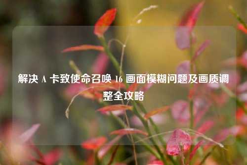 解决 A 卡致使命召唤 16 画面模糊问题及画质调整全攻略