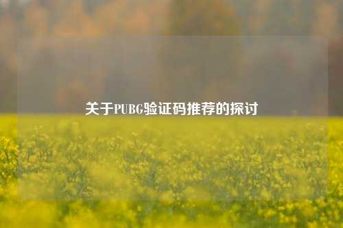 关于PUBG验证码推荐的探讨