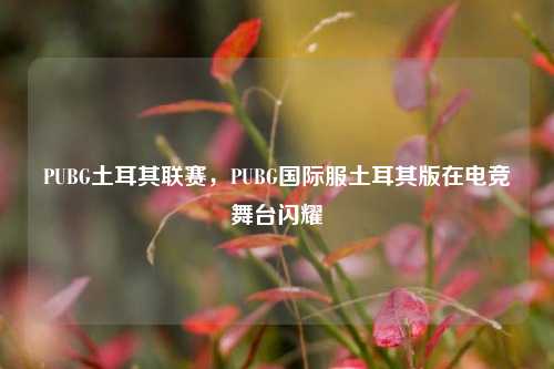 PUBG土耳其联赛，PUBG国际服土耳其版在电竞舞台闪耀