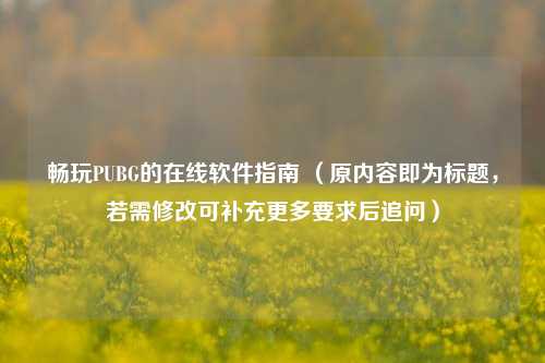 畅玩PUBG的在线软件指南 （原内容即为标题，若需修改可补充更多要求后追问）