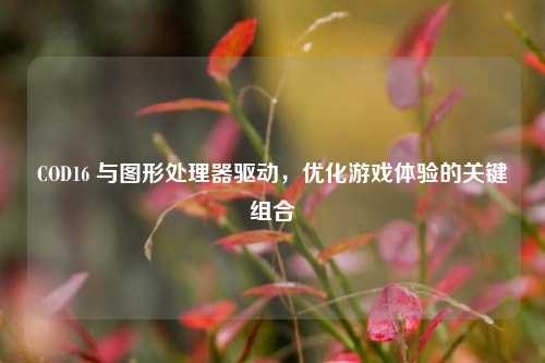 COD16 与图形处理器驱动，优化游戏体验的关键组合