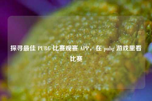 探寻最佳 PUBG 比赛观赛 APP,在 pubg 游戏里看比赛