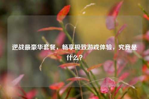 逆战最豪华套餐，畅享极致游戏体验，究竟是什么？