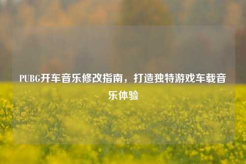 PUBG开车音乐修改指南，打造独特游戏车载音乐体验