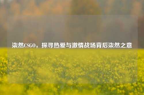 柒然CSGO，探寻热爱与激情战场背后柒然之意
