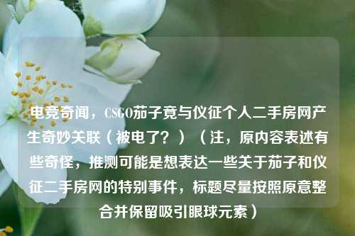 电竞奇闻，CSGO茄子竟与仪征个人二手房网产生奇妙关联（被电了？） （注，原内容表述有些奇怪，推测可能是想表达一些关于茄子和仪征二手房网的特别事件，标题尽量按照原意整合并保留吸引眼球元素）
