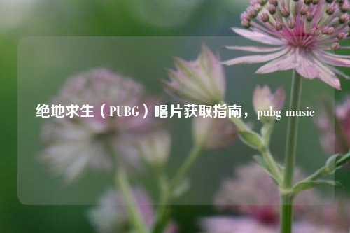 绝地求生（PUBG）唱片获取指南，pubg music
