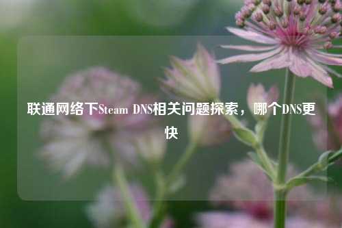 联通网络下Steam DNS相关问题探索,哪个DNS更快