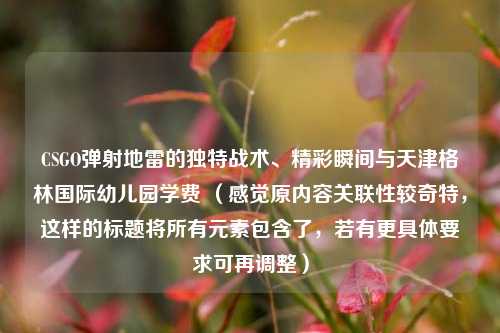 CSGO弹射地雷的独特战术、精彩瞬间与天津格林国际幼儿园学费 （感觉原内容关联性较奇特，这样的标题将所有元素包含了，若有更具体要求可再调整）