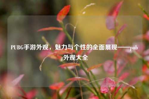 PUBG手游外观，魅力与个性的全面展现——pubg外观大全
