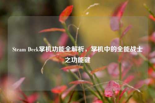 Steam Deck掌机功能全解析,掌机中的全能战士之功能键