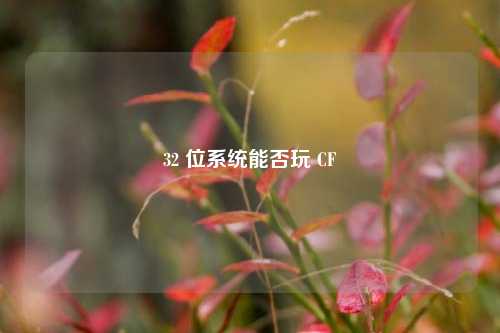 32 位系统能否玩 CF