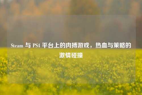 Steam 与 PS4 平台上的肉搏游戏，热血与策略的激情碰撞