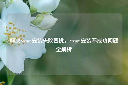 解决Steam安装失败困扰，Steam安装不成功问题全解析